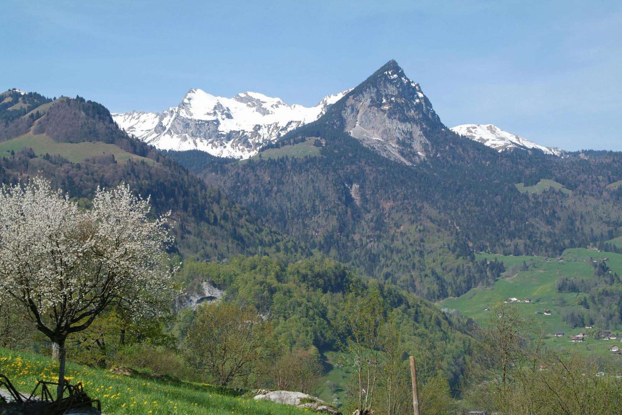 Landgasthof Grossteil Гисвиль Экстерьер фото