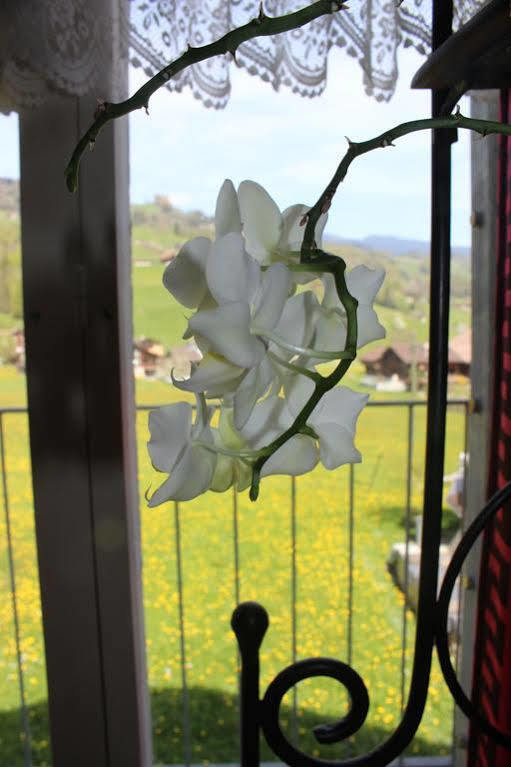 Landgasthof Grossteil Гисвиль Экстерьер фото